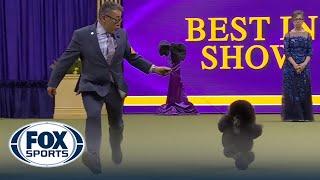 2024 Best In Show Full Event | Westminster Kennel Club