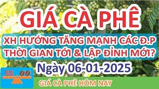 Giá cà phê hôm nay ngày 06/01/2025 | Giá Cà Phê XH Tăng Mạnh Mẽ Thời Gian Tới & Lập Đỉnh Mới