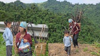 The  Kind Man Unexpectedly Gives Food to a Single Mother and Her Little Daughter - Sung Luyen