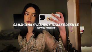 Samjho Na X Wishes x Tu Aake Dekh Le (Slowed + Reverb) | BARATO NATION