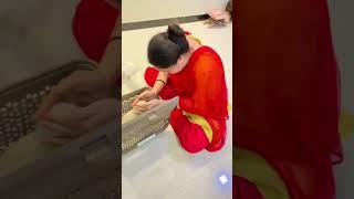 New Labrador puppy| cute puppy video| Indian family dog| pet shop| #youtube #dog #short