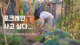 A late autumn gardening that prepares and shovels the soil of next year's flower bed in advance