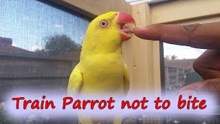 Teach Parrot not to bite you