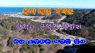 용화해변,장호해변 가까운 삼척시 근덕면 용화리 바다조망하는 자연인임야