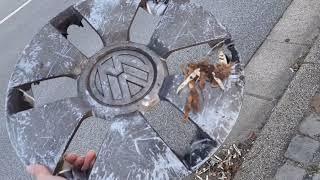 Scrapped Volkswagen up hubcap find!