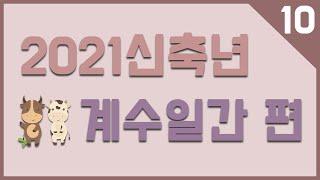 2021년 신축년 운세. 마지막 계수일간 편!