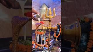 Bholenath status video #attitude #shortvideo #trending #mahadev  #viralvideo #mahakal #youtubeshorts