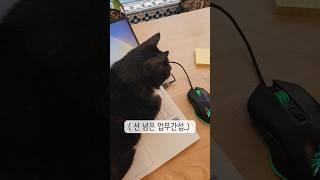 영업 부장님의 간섭이 너무 심합니다! #댓글확인
