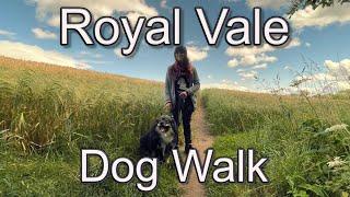 Impromptu family and dog friendly walk in Vale Royal and River Weaver