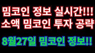 8월27일  오늘 가져온 밈코인 정보?? 대세 밈코인 뭐가있을까?