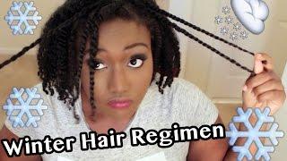 How I Winterize My Hair with Mini Twist featuring Qhemet Biologics