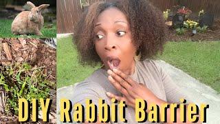 Budget Friendly DIY Rabbit Barrier for Plants|Updating Garden Bed|Blue Stones in Water Design