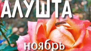 КРЫМ. АЛУШТА. Впервые пробую ЧЕБУРЕК с ИНЖИРОМ! Дельфинотерапия, Набережная, парк. Погода сегодня