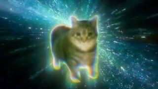 Oiiaioooooiai cat meme psytrance remix