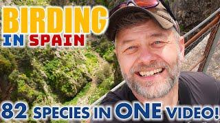 EPIC SAFARI II - OUTSTANDING  BIRDING IN SPAIN