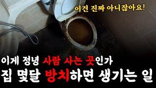 집을 몇달 방치했다고요? 이러면 건강이 위험해요! | 하수구 대마왕 