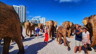 4K Great Elephant Migration Art installation , Art Basel Week , Miami Beach Florida , November 2024