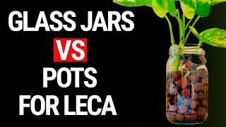 Glass Jars Vs. Pots For Plants in Leca: Which Works Best?