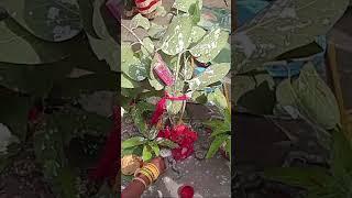 dilshan kumar you tube video call me when you are not going to be a good day ahead with the weekend