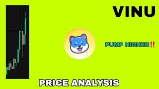 VINU COIN PUMP HIGHER UPDATE IN 2024‼️ VITA INU PRICE ANALYSIS‼️ VITA INU COIN READY FOR MASSIVE