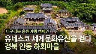 세계문화유산 안동 하회마을의 비밀···손꼽히는 명당, 이곳선 '돌담' 절대 금지?