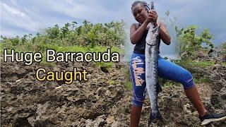 We Caught This Barracuda After It K!ll Our First Live Bait, Mission Accomplished!