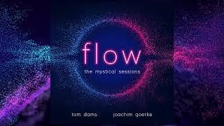 Tom Dams + Joachim Goerke  'FLOW' - Album Teaser