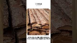 싸구려 100만원 소파 안쪽 공개(혐주의)