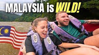 Surviving Malaysia's WILDEST RAINFOREST  (Taman Negara)