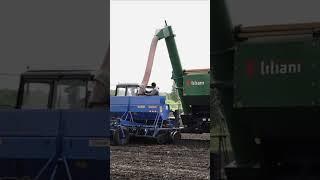 Ускоряем сев с бункером-перегрузчиком