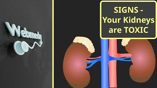 Warning Signs That Your Kidneys Are Toxic