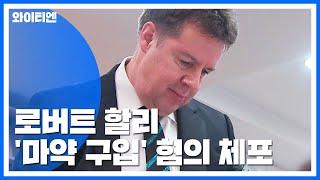 방송인 로버트 할리 마약 구입 혐의로 체포 / YTN