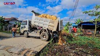 First start new project processing Dump truck unloading soil & Mini Dozer D20P pushing dirt fill up