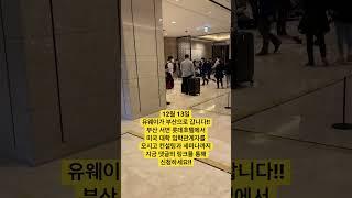 유웨이 체크인 12월 13일 유웨이가 미국대학과 함께 부산으로 찾아갑니다! #유웨이 #부산 #명문대입시 #미국유학 #미국대학 #shorts