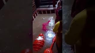 (Prayagraj) Bandhawa... Hanuman ji ke mandir mein fir ayi maa ganga...
