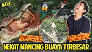 NEKAT MANCING BUAYA RAKSASA PAKE AYAM UTUH! TARIKANNYA KUAT BANGET! BALI REPTILE PARK #part3