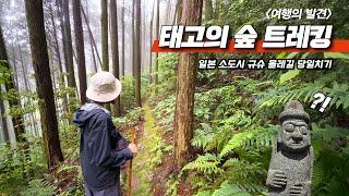 ‍️한국을 부러워해 따라 만든 12.5km 힐링 트레킹, '도자기, 차밭, 숲, 그리고 무료 족욕까지 하나의 코스!!