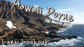 Ep. 66 Hawaii Lanai Lookout Drone Dji Mavic 2 Pro|  하와이 라나이 전망대 드론 촬영 매빅 2 프로