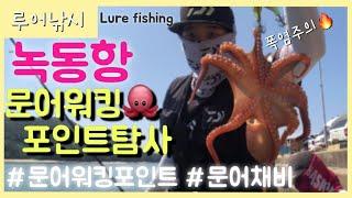 [낚시부부] 고흥 녹동항 꽝없는 문어포인트(octopus fishing),문어워킹낚시