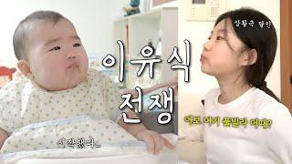 이유식 전쟁중인 6개월 아기와 육아vlog