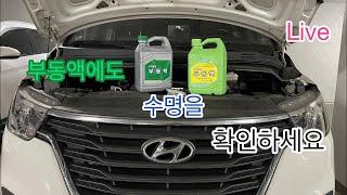 LIVE Hungry DiY, 그랜드스타렉스 부동액 교환