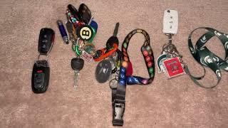 My Car Key Collection