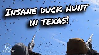 Hunting Redheads & Pintails in Texas | DU Nation