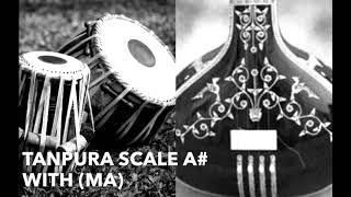 TANPURA A# with Ma (Madhyam) | Scale A sharp