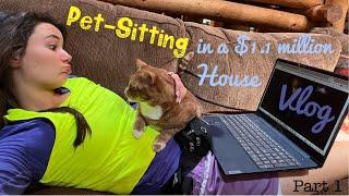 VLOG: Day in the Life of a Petsitter | Trusted Housesitters Experience Vlog - part 1