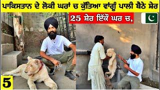 ਪਾਕਿਸਤਾਨੀ ਲੋਕਾਂ ਨੇ ਘਰਾਂ ਚ ਪਾਲੇ ਸ਼ੇਰLION's IN PAKISTANI HOUSES