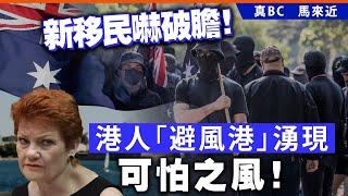 20241111B 新移民嚇破膽！港人「避風港」湧現可怕之風！