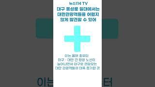 대구의료관광, 외국인환자 유치 쉬워진다 뉴스114