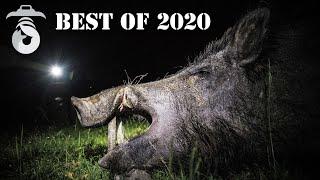 Best of HUNTING 2020