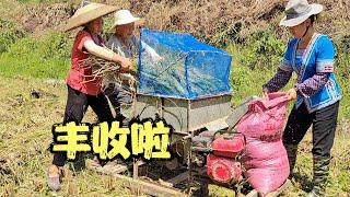 忙完店里的生意，娜姐和雨锅划拳分工，赶回家和公公婆婆收稻谷